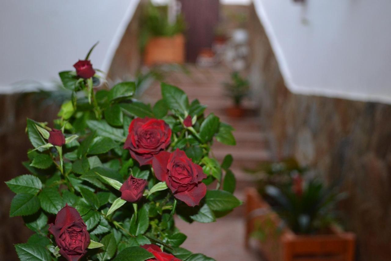 Gasthuis Casa Alamo Agaete Agaete (Gran Canaria)